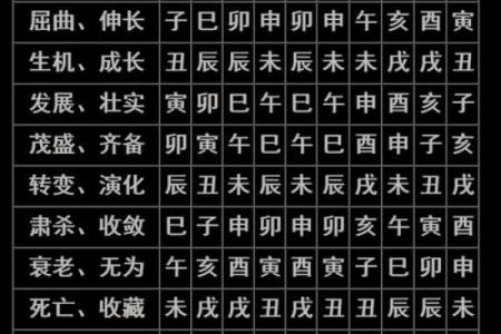 深度解析生辰八字，发现命运的关键