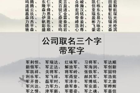 水金双元素，如何为公司起一个吸引眼球的名字