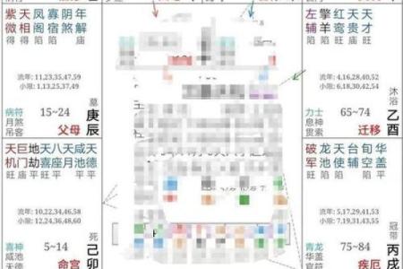 探索紫薇排盘与易安居的完美结合，提升生活质量