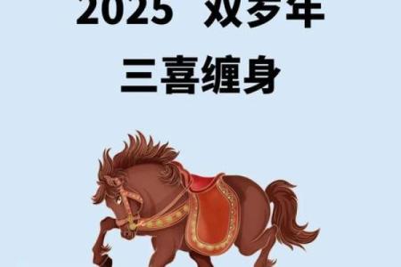 属马人的财运密码：揭秘马年命理的黄金法则