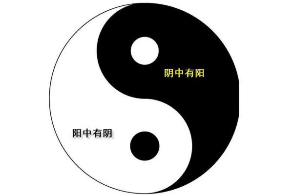 阴阳调和，风水秘籍，揭秘家居布局神奇力量