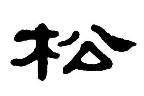 用松字起名，给孩子带来长寿与坚韧