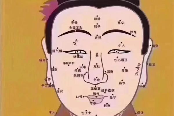 贵夫人痣，财运亨通的秘密