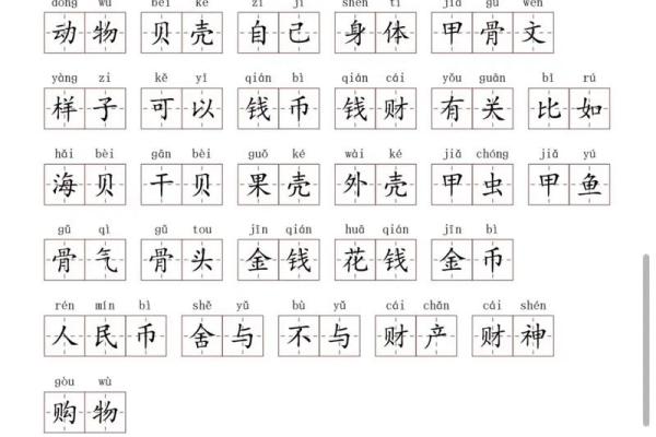 贝字五行属性揭秘