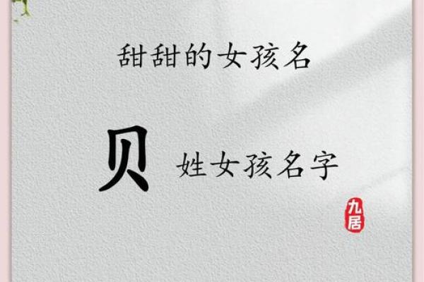 贝字五行属性揭秘