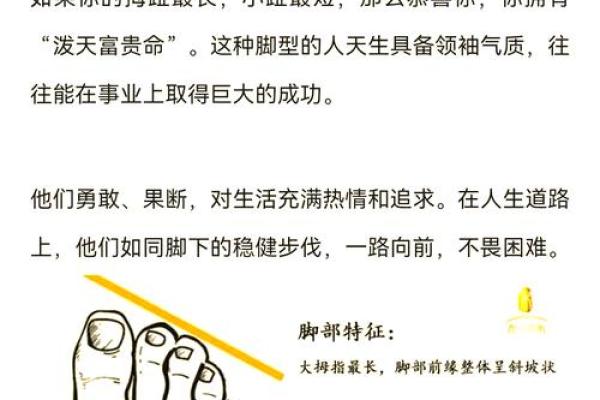 揭秘杀破狼命盘：你的命运密码，一窥究竟