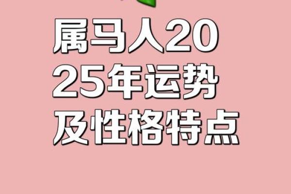 属马人最幸运的名字推荐，助你事业腾飞