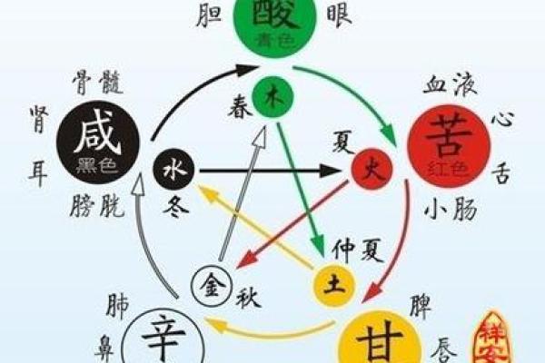 津字五行分析，解开命理谜团