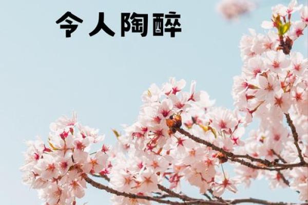 旺子女桃花，家居风水秘籍，让你的爱情运势如春风拂面