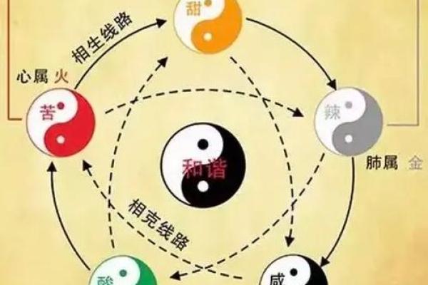 五行解析：也字的五行属性与你的命运有何关系？