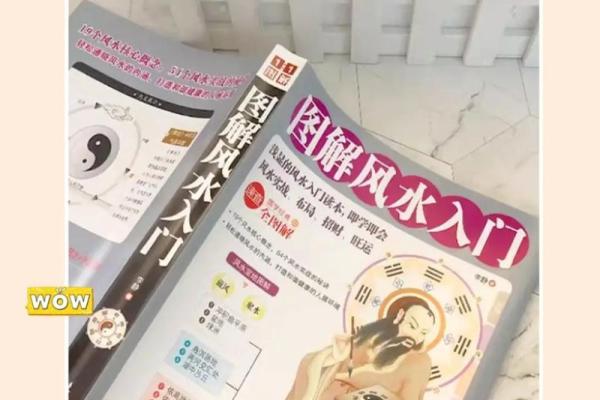 揭秘李居明风水秘籍：家居布局，财运亨通，福泽全家
