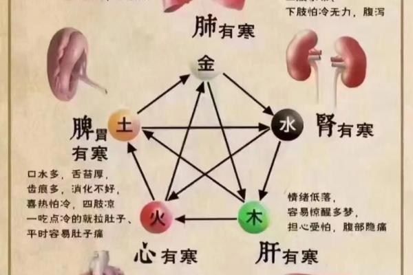 宝宝五行查询：五行与性格的奇妙关系解析