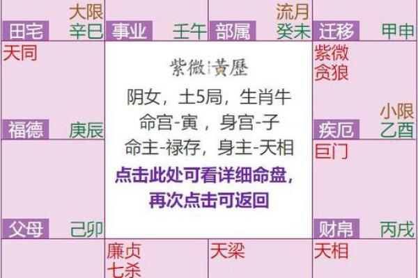 探秘紫微斗数干支排盘：如何揭开命运的秘密