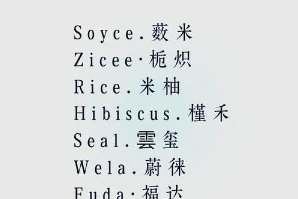 如何为公司起个响亮名字？常用词汇大公开