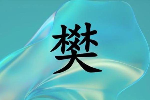 樊姓男孩女孩名字大集合，快来挑选