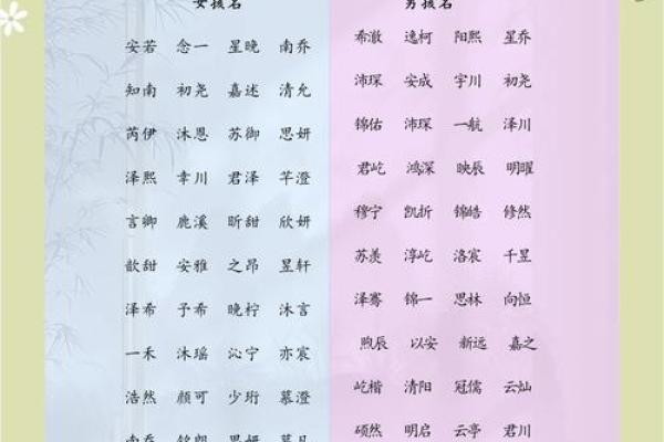 娄姓起名秘籍：如何为你的宝贝起个响亮的名字