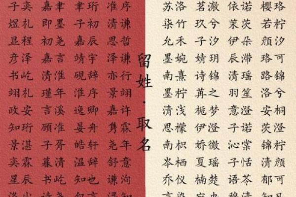 娄姓起名秘籍：如何为你的宝贝起个响亮的名字