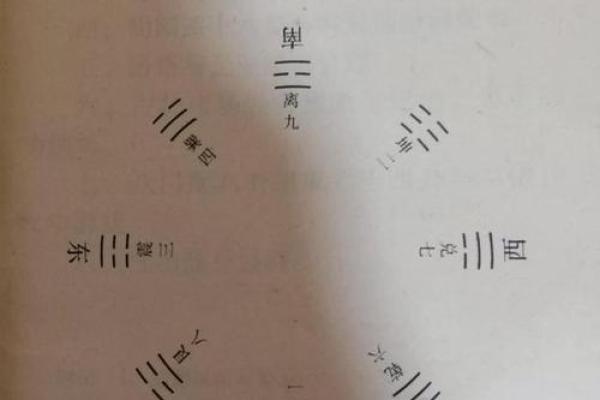 免费元享利贞八字排盘，轻松掌握人生走向