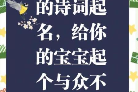 为孩子起个与众不同的名字，永起名给你最佳方案