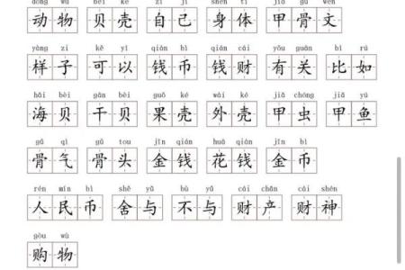 贝字五行属性揭秘