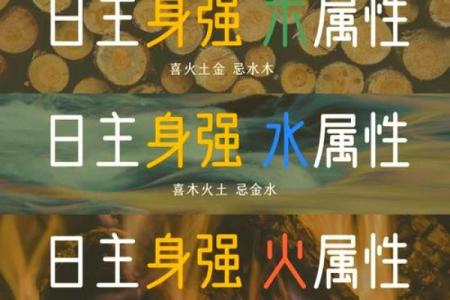 了解生辰八字五行属性，掌握人生运势的关键