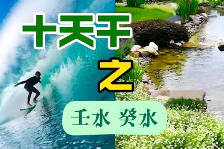 探索水的天干在命理中的独特意义