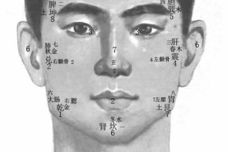 津字五行分析，解开命理谜团
