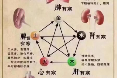 宝宝五行查询：五行与性格的奇妙关系解析