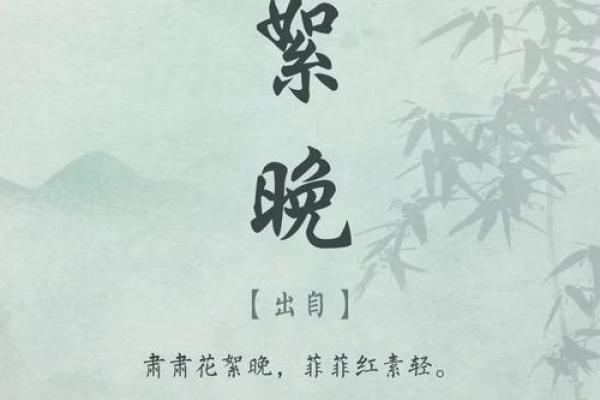 适合宋姓女孩的高雅名字，助你打造未来