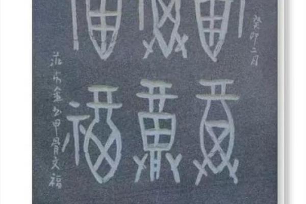 柏字命名法：让名字更具文化底蕴与个性魅力