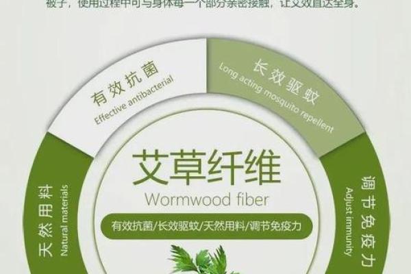 艾草在五行中代表什么？深入分析艾五行的奥秘