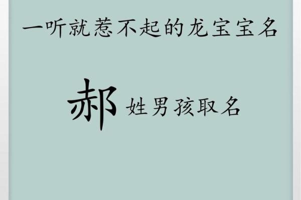 郝字五行属性对命运的影响