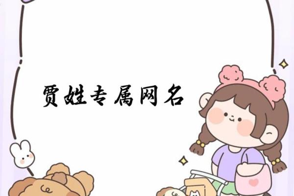 最全贾姓男孩名字推荐，独一无二的选择