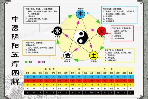 深入探讨五的五行属性与命运的关系