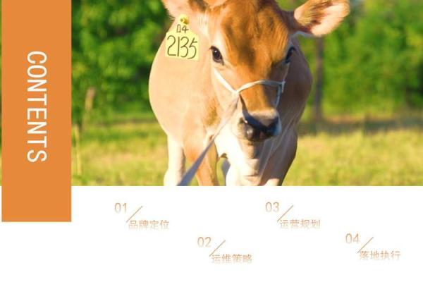 动物名字让公司更具个性，提升品牌竞争力