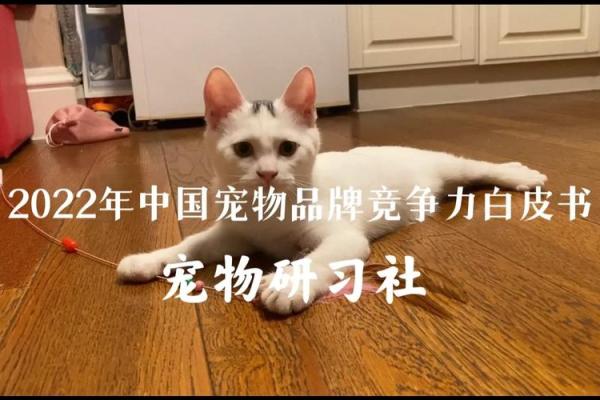 动物名字让公司更具个性，提升品牌竞争力
