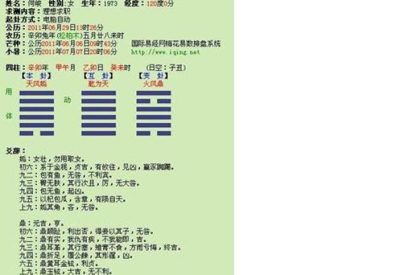 周易梅花易数免费排盘，揭示未来运势的秘密