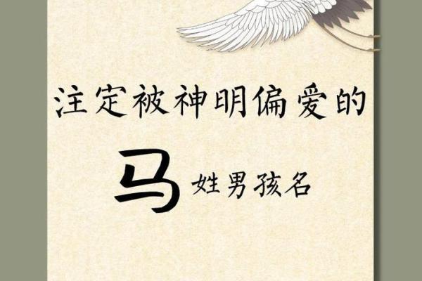 解密马字五行：你不知道的秘密