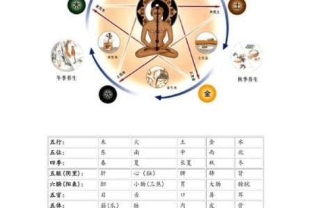 五行相生相克图表：如何用中医五行理论改善生活质量