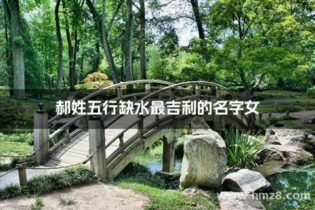 郝字五行属性对命运的影响