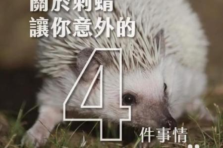 你知道亦五行属什么吗？答案让你大吃一惊