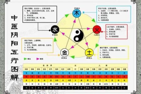 深入探讨五的五行属性与命运的关系