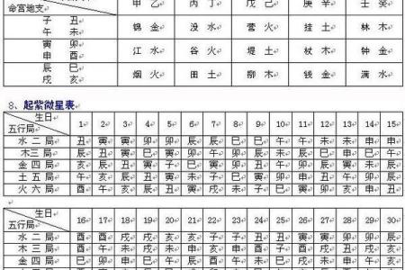 深度解析紫薇斗数人盘排盘：掌握命运的关键