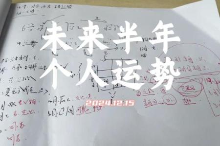 周易梅花易数免费排盘，揭示未来运势的秘密