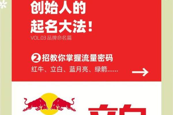 鱼药公司起名必备指南，让你的品牌名与众不同