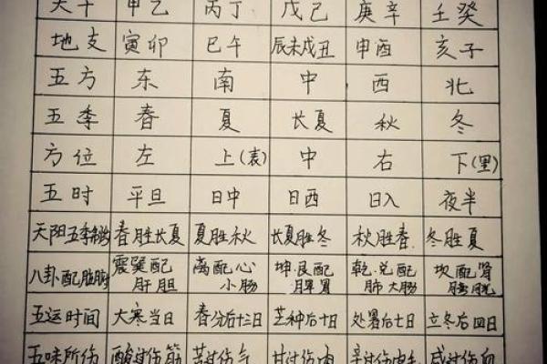 包字五行解析：它到底属于哪个元素？