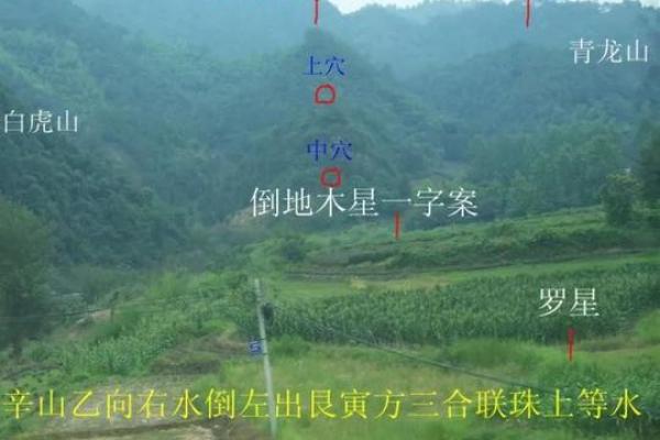小区门口风水宝地，揭秘财富旺运秘籍