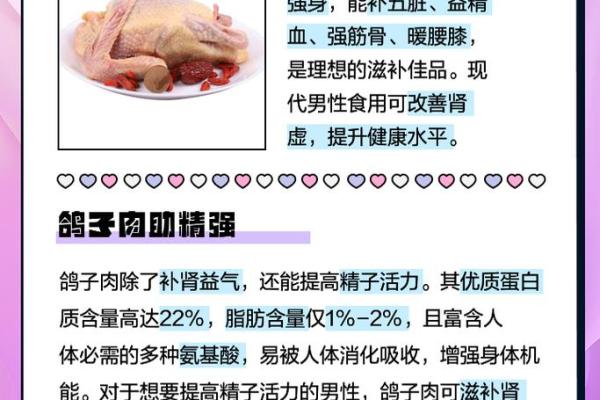鸽子五行属什么？揭秘其隐藏的五行秘密