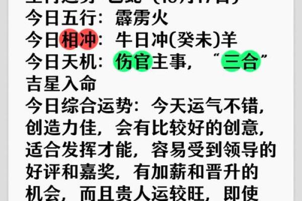 揭秘：丁己命背后的神秘生肖力量