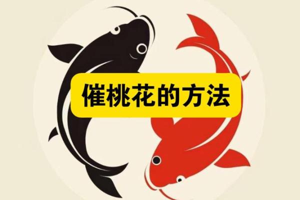 八字算桃花，如何在命理中找到理想伴侣